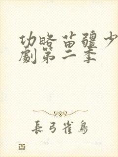 功略苗疆少主短剧第二季