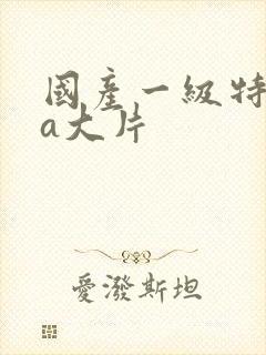 国产一级特黄aa大片