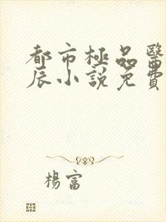 都市极品医神叶辰小说免费阅读