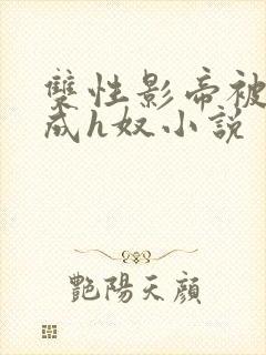 双性影帝被调教成h奴小说