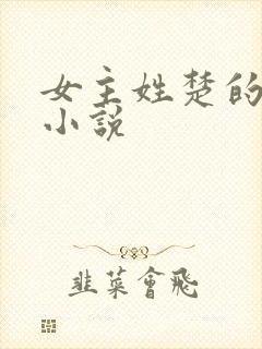 女主姓楚的穿越小说