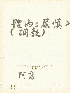 体内s尿慎入h( 调教)