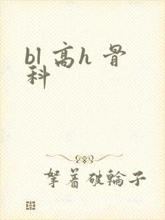 bl 高h 骨科