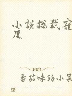 小说总裁宠妻无度