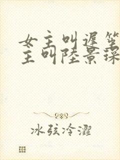 女主叫迟笙,男主叫陆景琛的小说封面