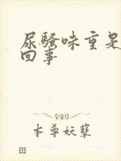 尿骚味重是怎么回事