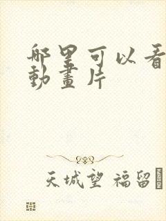 哪里可以看日本动画片