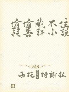 偷偷藏不住桑稚段嘉许小说免费阅读的