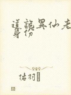 道诡异仙老乞丐身份