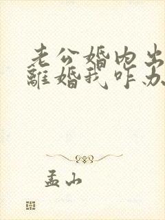 老公婚内出轨提离婚我咋办