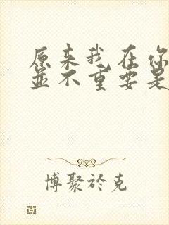 原来我在你心里并不重要是哪首歌