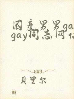 国产男男gaygay同志网站