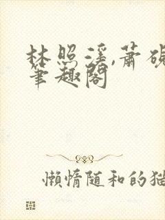 林照溪,萧砚川笔趣阁封面