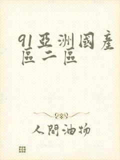 91亚洲国产一区二区封面