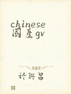chinese国产gv
