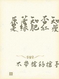 原著知否知否应是绿肥红瘦小说封面