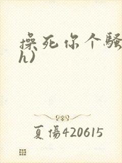 操死你个骚货(h)