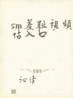 sm羞耻视频网站入口