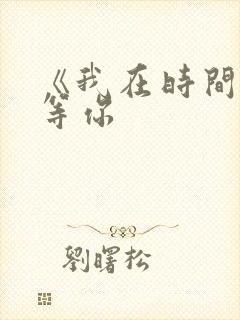 《我在时间尽头等你封面