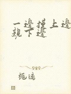 一边摸上边一边亲下边