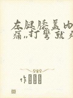 左腿膝盖内侧疼痛,,打弯就疼,为什么