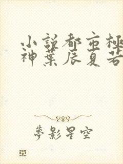 小说都市极品医神叶辰夏若雪无弹窗