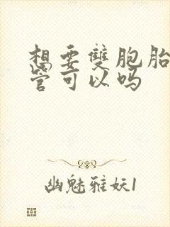 想要双胞胎做试管可以吗