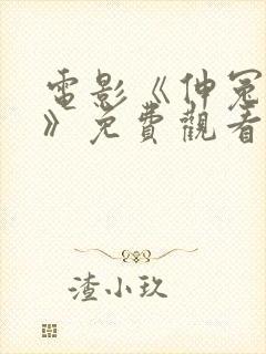 电影《伸冤人1》免费观看