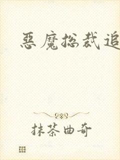 恶魔总裁追逃妻封面