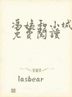 冯姨和小城全文免费阅读