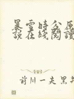 暴雪时分原著小说在线阅读