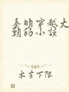 秦明穿越大乾王朝的小说