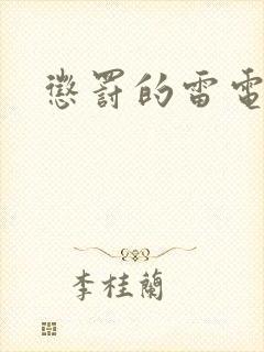 惩罚的雷电将军