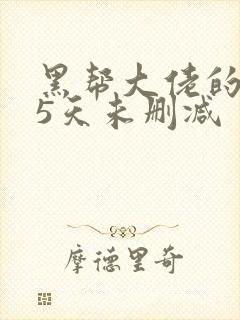 黑帮大佬的365天未删减封面