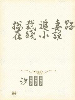 总裁追妻路漫漫在线小说封面