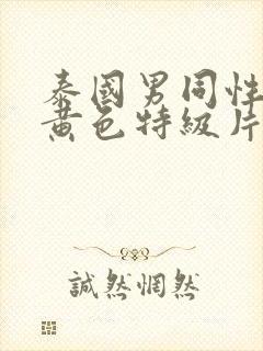 泰国男同性恋的黄色特级片