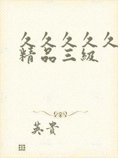 久久久久久国产精品三级