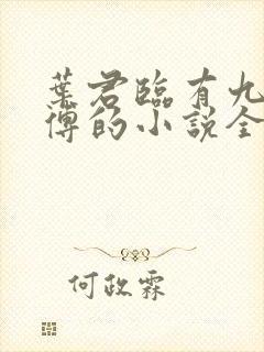 叶君临有九个师傅的小说全集