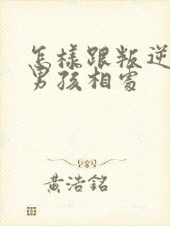 怎样跟叛逆期的男孩相处封面