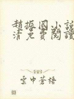 赵振国小说宋婉清免费阅读