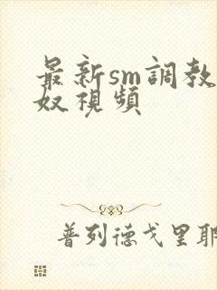 最新sm调教男奴视频