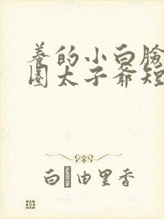 养的小白脸是京圈太子爷短剧