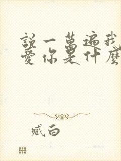 说一万遍我爱你爱你是什么歌