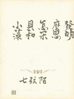 小贝怎么发现海藻和宋思明的