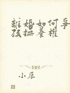 离婚如何争取小孩抚养权