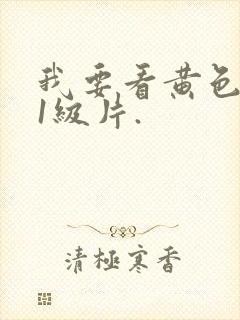 我要看黄色录像1级片.封面