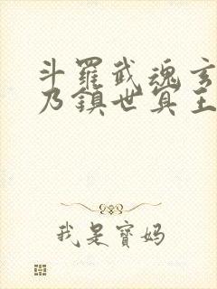 斗罗武魂玄武吾乃镇世冥王封面