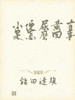 小便尿黄有异味是怎么回事封面