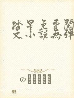 踏星免费阅读全文小说无弹窗