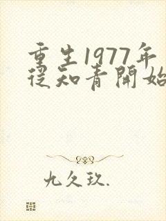 重生1977年从知青开始 小说